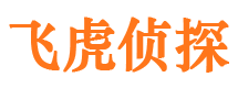 海门外遇调查取证